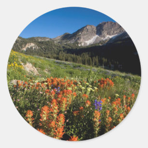 Adesivo Redondo EUA, Utah, Floresta Nacional Uinta-Wasatch-Cache