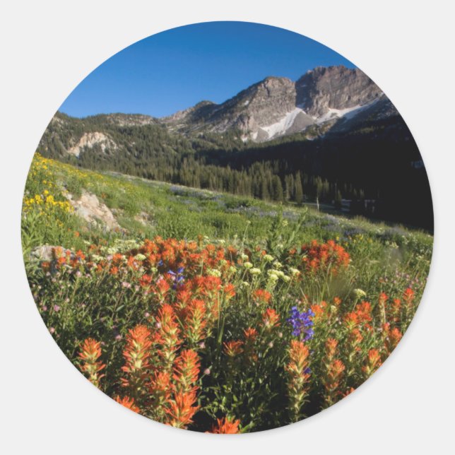 Adesivo Redondo EUA, Utah, Floresta Nacional Uinta-Wasatch-Cache (Frente)