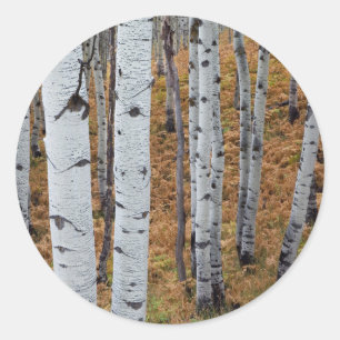 Adesivo Redondo EUA, Utah, Floresta Nacional Uinta-Wasatch-Cache 2