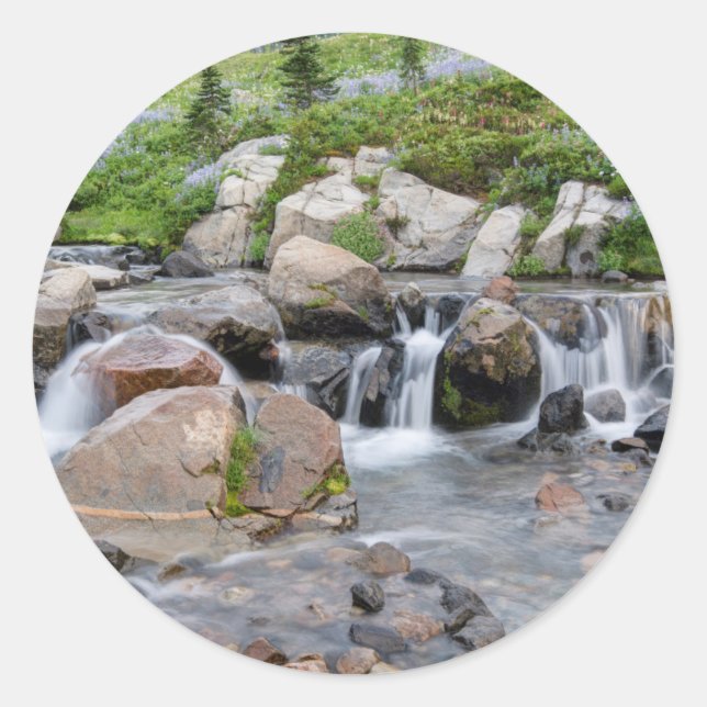 Adesivo Redondo EUA, Washington, Monte Rainier National Park 3 (Frente)