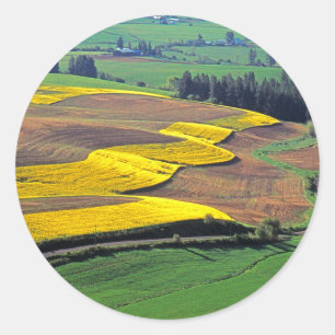 Adesivo Redondo EUA, Washington, Palouse, Whitman County 2