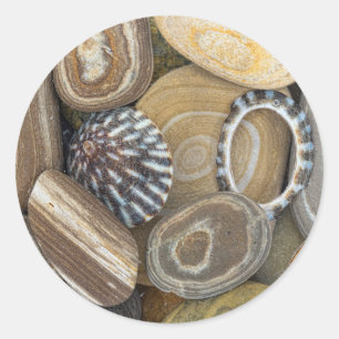 Adesivo Redondo EUA, Washington, Seabeck. Close-Up Da Praia