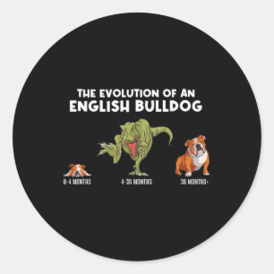 Adesivo Redondo Evolução De Um Bulldog Inglês Mamão Diversão