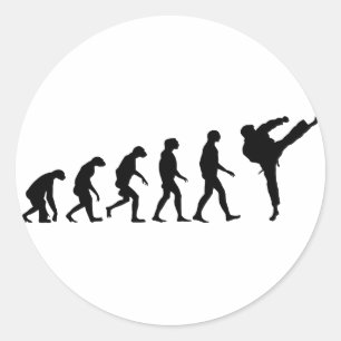 Adesivo Redondo Evolução do karaté