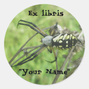 Adesivo Redondo Ex libris Argiope aurantia Stickers
