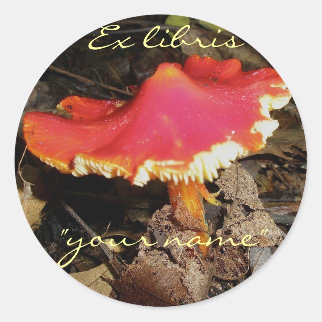 Adesivo Redondo Ex Libris Red Mushroom Stickers para Personalizar (Frente)