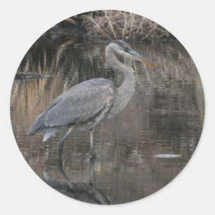 Adesivo Redondo Excelente Blue Heron