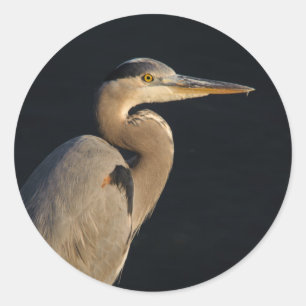 Adesivo Redondo Excelente Blue Heron Sticker
