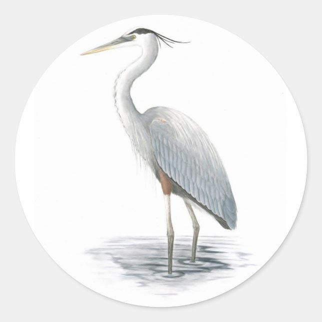 Adesivo Redondo Excelente Blue Heron Sticker (Frente)