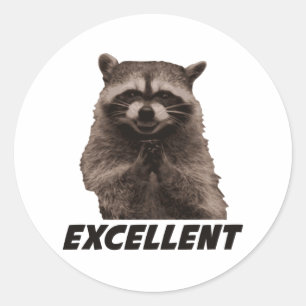 Adesivo Redondo Excelente Mau Plotting Raccoon