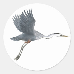 Adesivo Redondo Excelente voador Blue Heron Sticker