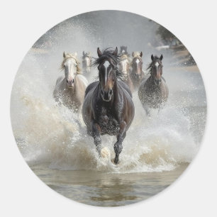 Adesivo Redondo Execução Gratuita