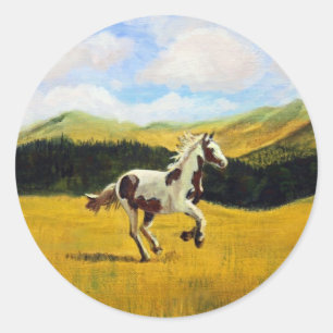 Adesivo Redondo Executar Livre