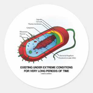 Adesivo Redondo Existência sob muitos tempos das circunstâncias
