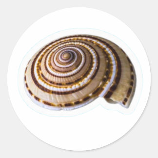 Adesivo Redondo Exotic Tropical Sea Shells - Coastal Nature Collec