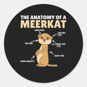 Adesivo Redondo Explicação Engraçada Da Anatomia De Um Meerkat