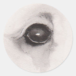 Adesivo Redondo Eye of the Bear – Gaze Collection