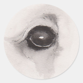 Adesivo Redondo Eye of the Bear – Gaze Collection