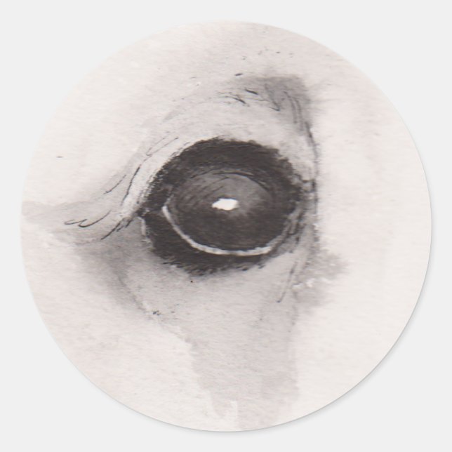 Adesivo Redondo Eye of the Bear – Gaze Collection (Frente)