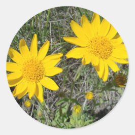 Adesivo Redondo F15 Flores Silvestres Amarelas Sneezeweed