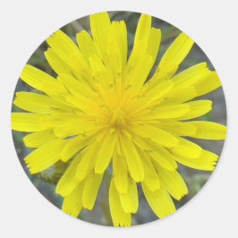 Adesivo Redondo F16 Amarelo Rei da Flor