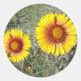 Adesivo Redondo F17 Flores Silvestres Amarelas Gaillardia
