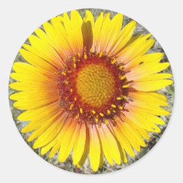 Adesivo Redondo F17a Flores Silvestres Amarelas Gaillardia