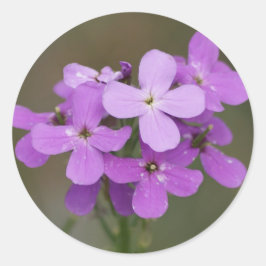 Adesivo Redondo F19 Flores Roxas Chamas Foguete