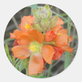Adesivo Redondo F40 Flores Silvestres Laranja Malva Escarlate