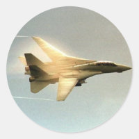 F-14 TOMCAT