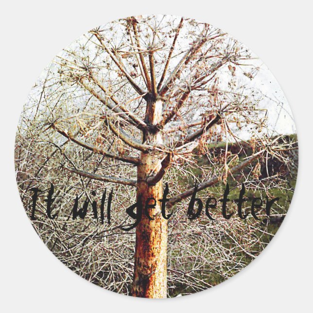 Adesivo Redondo Fábrica de Ferula Seca (Frente)