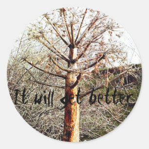 Adesivo Redondo Fábrica de Ferula Seca