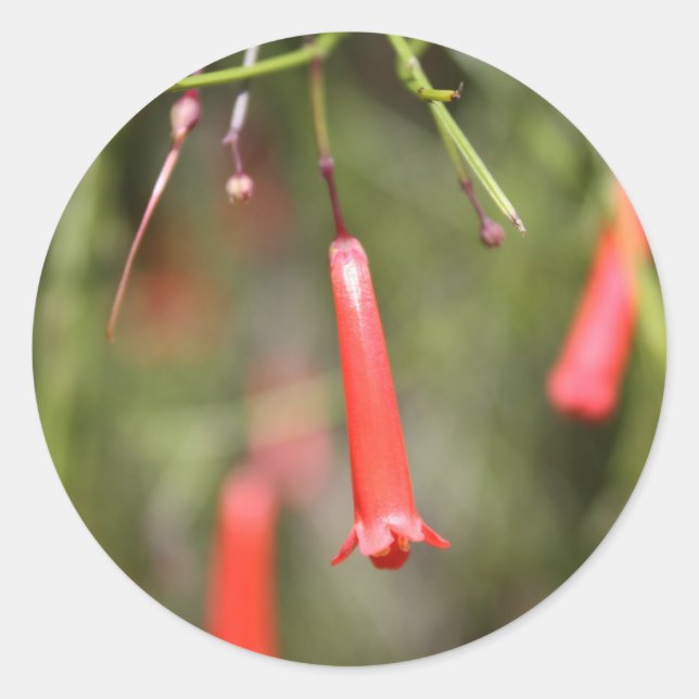 Adesivo Redondo Fábrica de Firecracker (Frente)