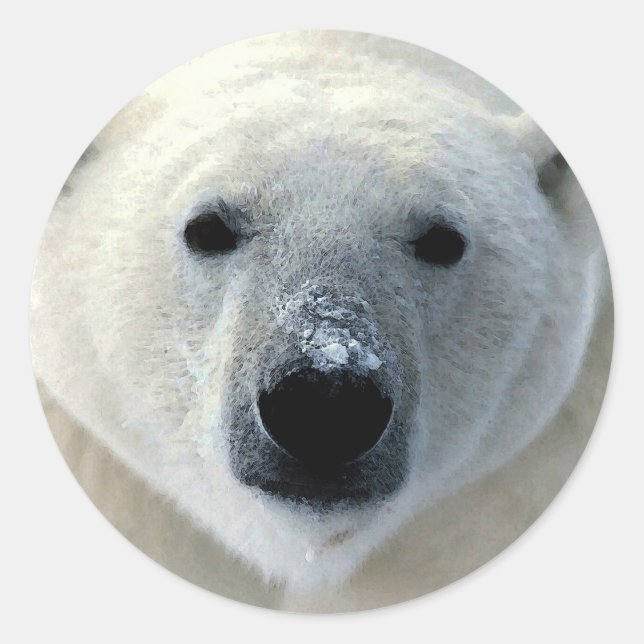Adesivo Redondo Face do Urso Polar (Frente)