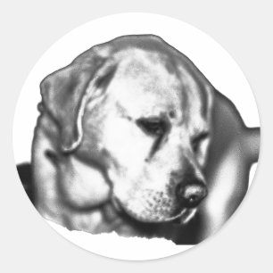 Adesivo Redondo Fading Gaze