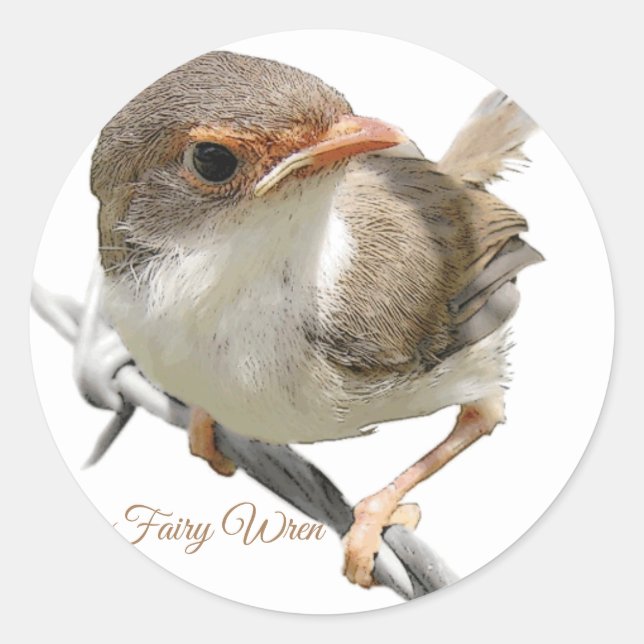 Adesivo Redondo Fairywren (Frente)