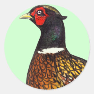 Adesivo Redondo Faisão:  Cabeça de Ringneck