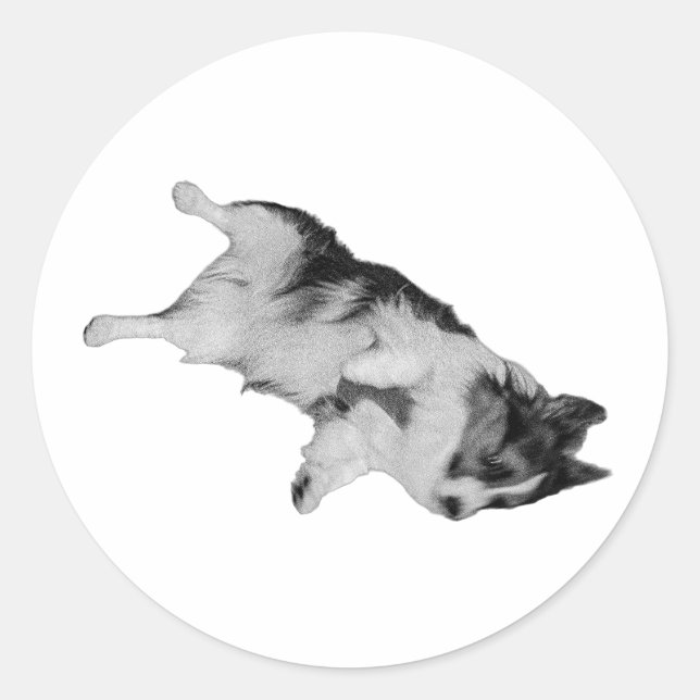 Adesivo Redondo Fall Fall (Frente)