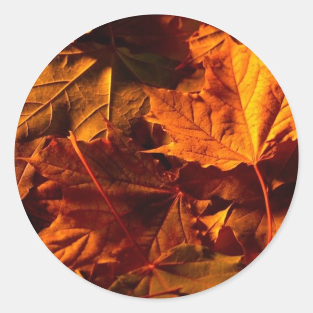 Adesivo Redondo Fall Rustic Deixa Foco Personalizado De Convite De (Frente)