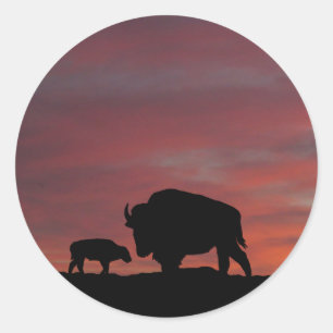 Adesivo Redondo Família Bison