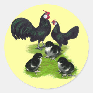 Adesivo Redondo Família Rosecomb Black Bantam