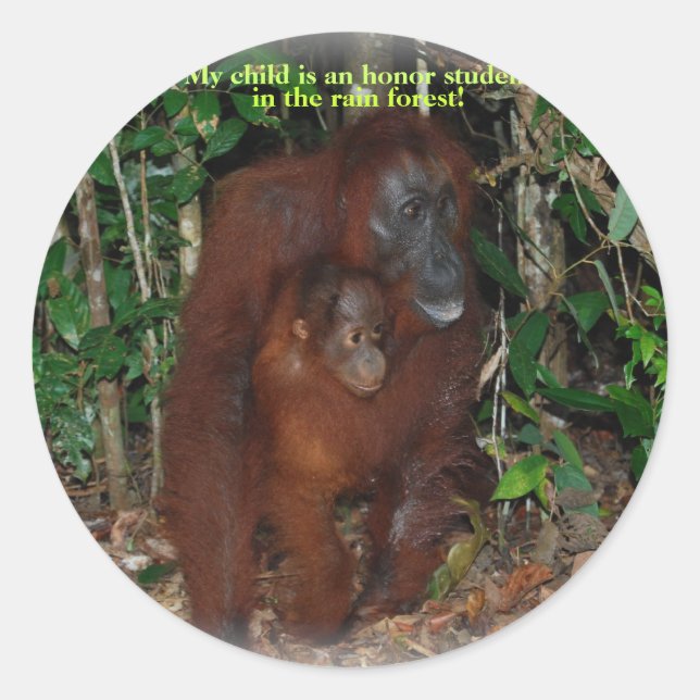 Adesivo Redondo Família Selvagem de Orangutan, Animais Bons (Frente)