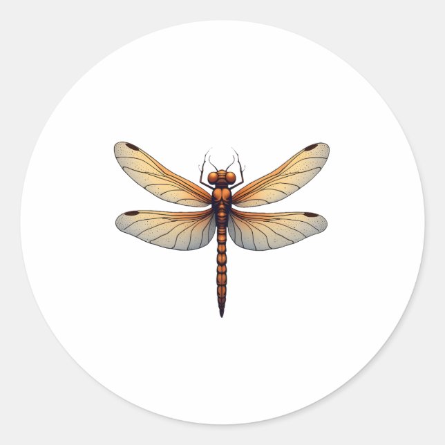 Adesivo Redondo Fantástico Dragonfly Costume para Meninos e Menina (Frente)
