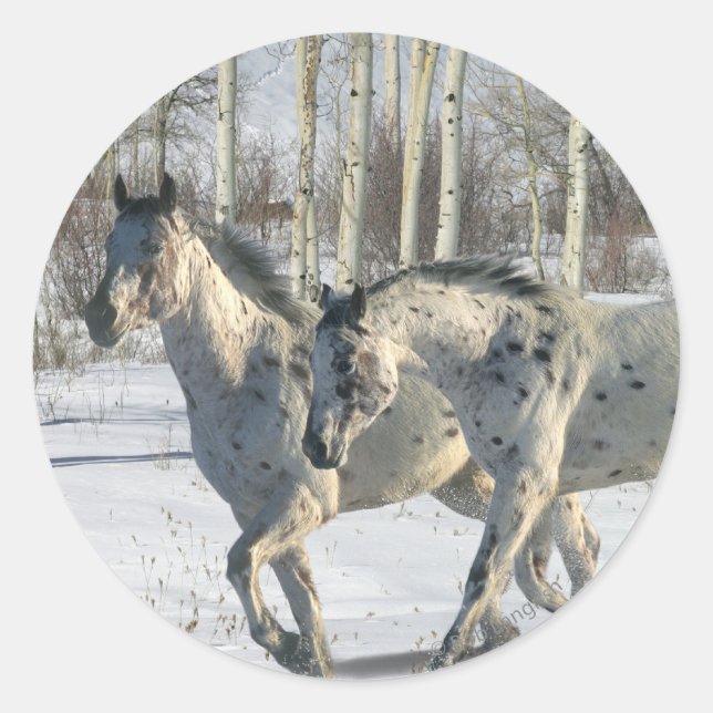 Adesivo Redondo Fantasy Horses: Wonderland de inverno (Frente)