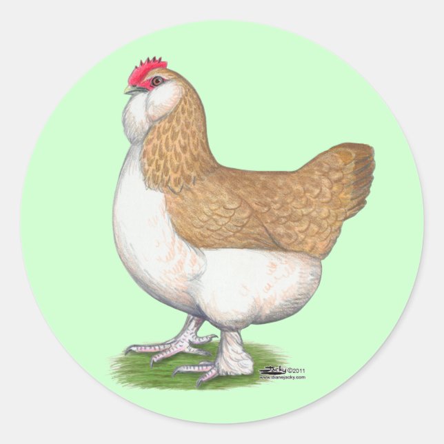Adesivo Redondo Faverolle Hen (Frente)