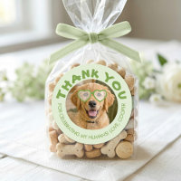 Favor de casamento de petiscos para cachorro Foto