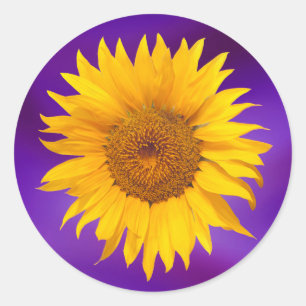 Adesivo Redondo Favor de Casamento Roxo Sunflower Elegant