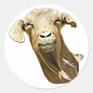 Adesivo Redondo Fazenda bobo De Cabra  Arte Animal 