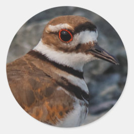 Adesivo Redondo Fechamento de um assassino