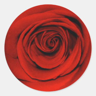 Adesivo Redondo Feche acima da rosa vermelha
